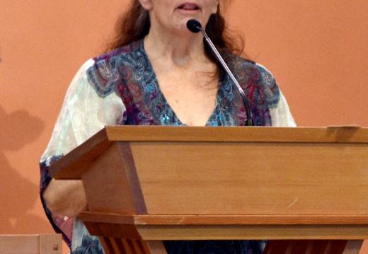 DSC 3353