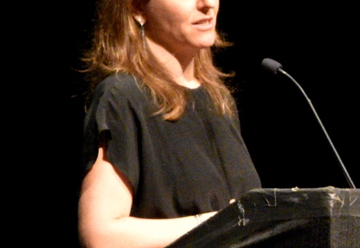DSC 3779V