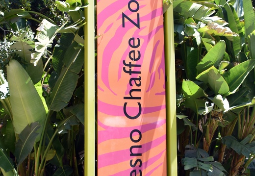 DSC 5440a