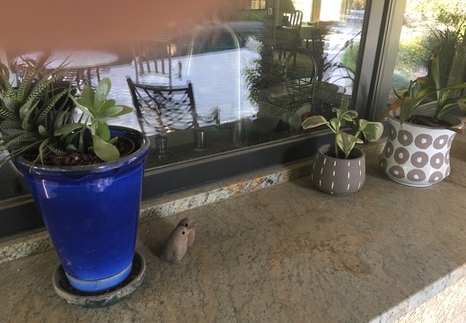 IMG 0115