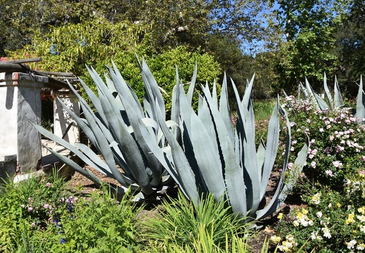 DSC 0970