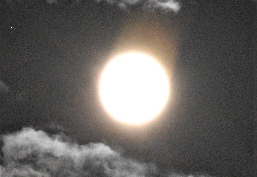 DSC 1027