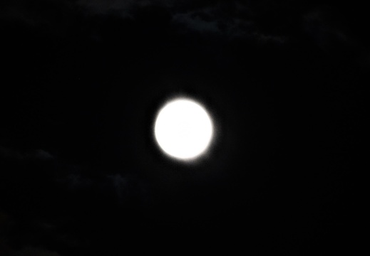 DSC 1028