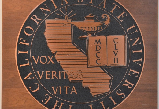 DSC 1070 SQ