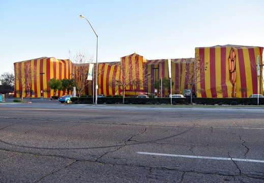 DSC 8729