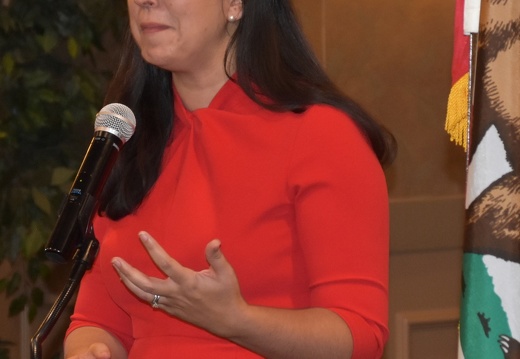 DSC 0891 V