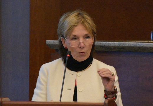 DSC 2005