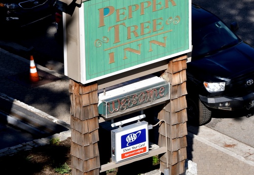 DSC 3538